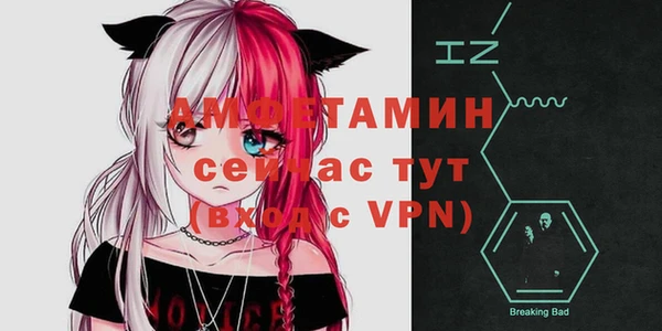 индика Нефтекумск