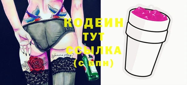 индика Нефтекумск