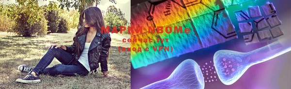 индика Нефтекумск