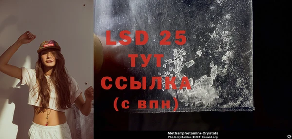 индика Нефтекумск