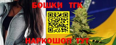 соль ск Новодвинск