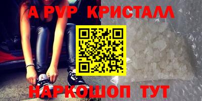 соль ск Новодвинск