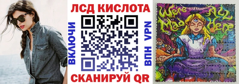 цена   OMG tor  Марки NBOMe 1,8мг  Новошахтинск 