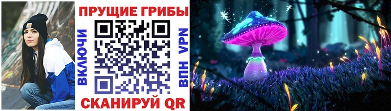 Галлюциногенные грибы мицелий  купить  сайты  Новошахтинск 