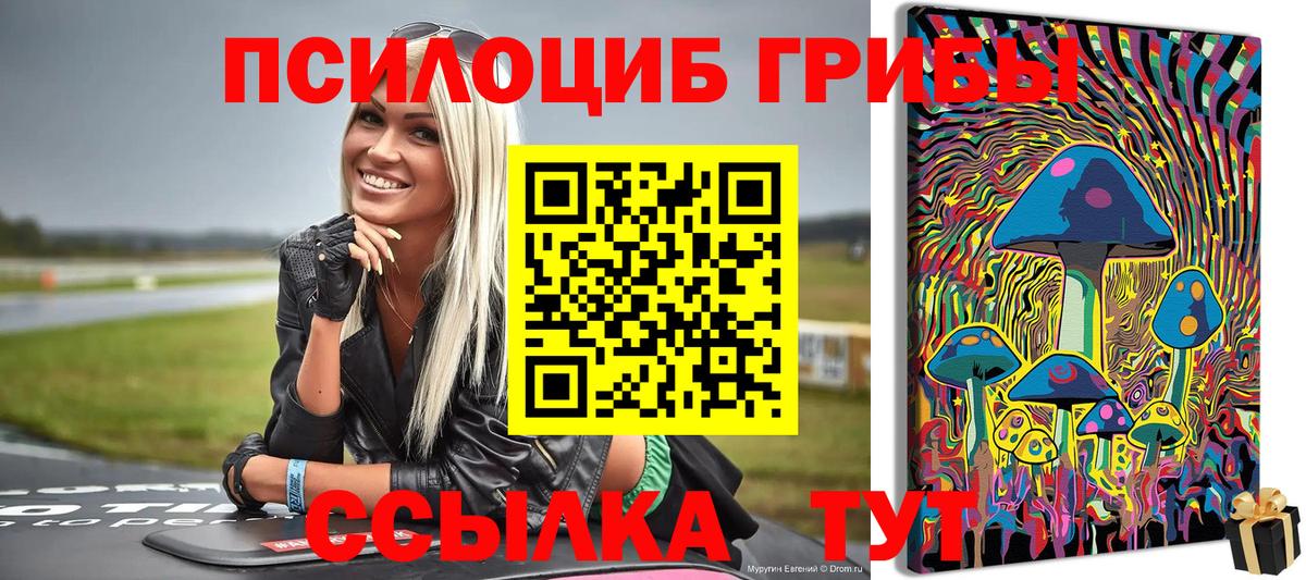 Псилоцибиновые грибы прущие грибы Новошахтинск