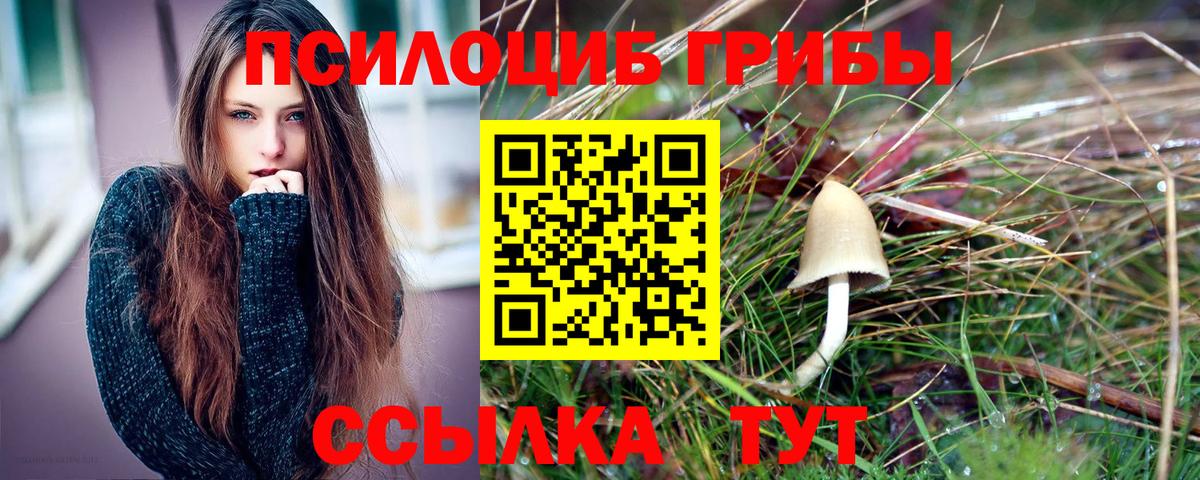Новошахтинск  Псилоцибиновые грибы MAGIC MUSHROOMS  закладки  Вход с VPN  Галлюциногенные грибы Psilocybe 