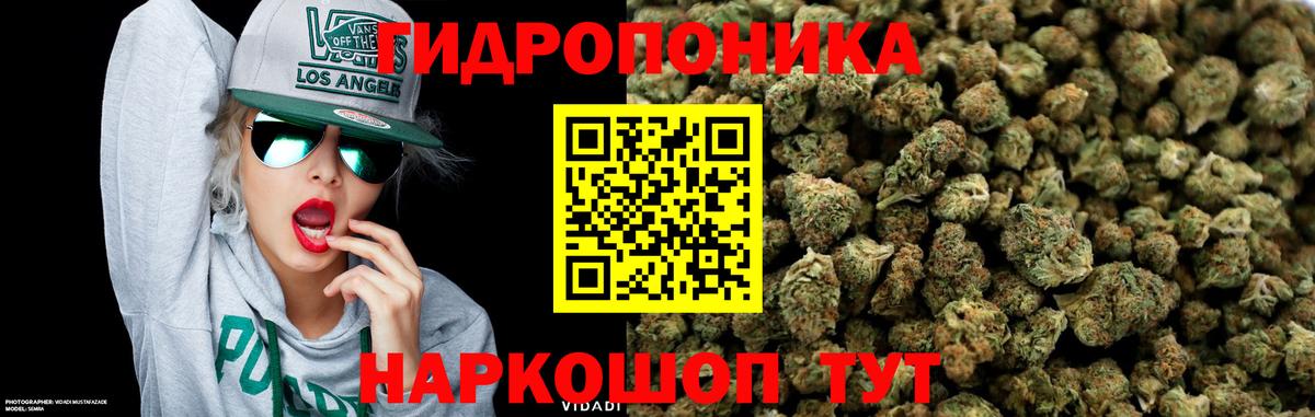 Канабис сатива  Каннабис ГИДРОПОН  МАРИХУАНА White Widow  Бошки Шишки семена  Вход с VPN  Новошахтинск 